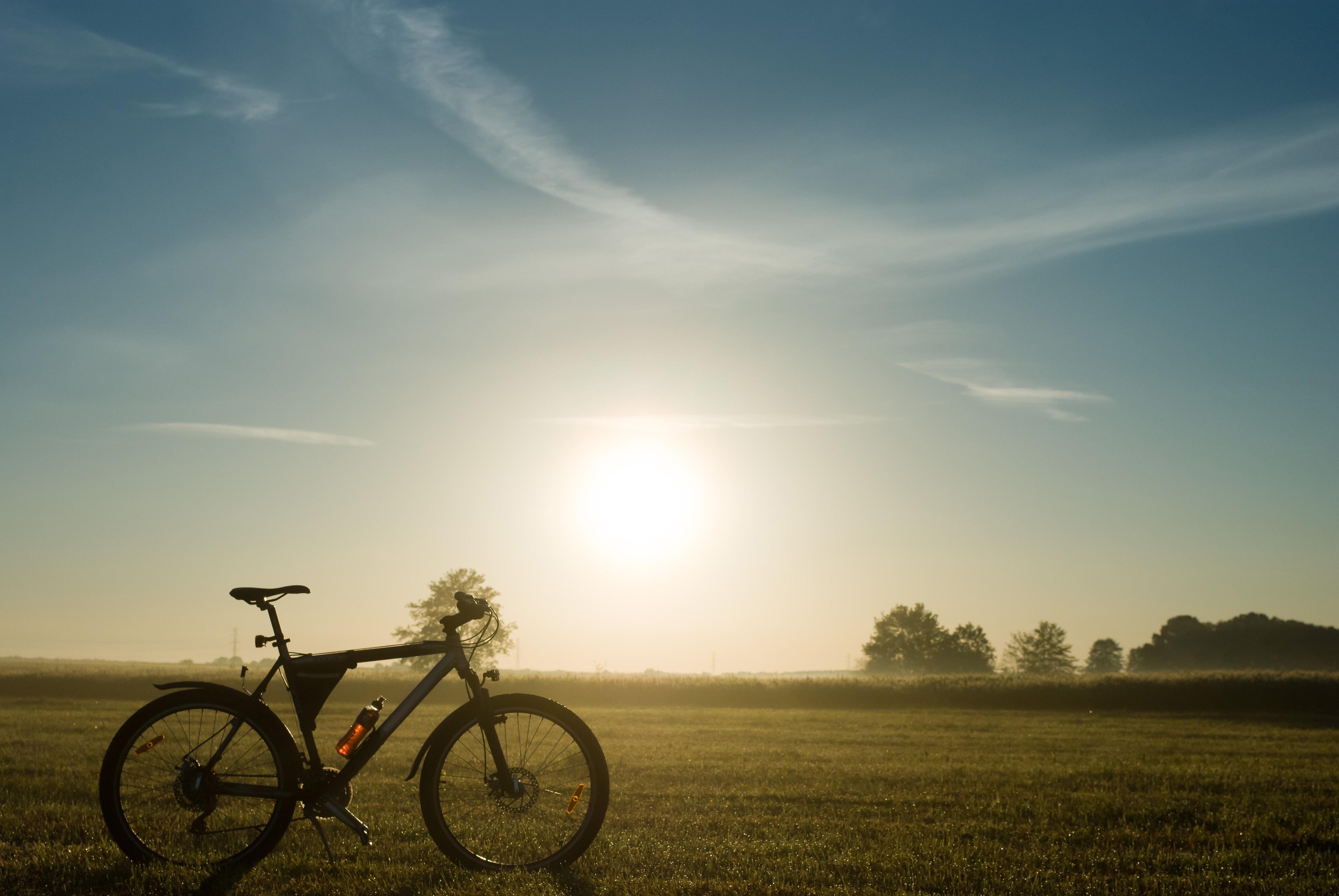 Bike Share